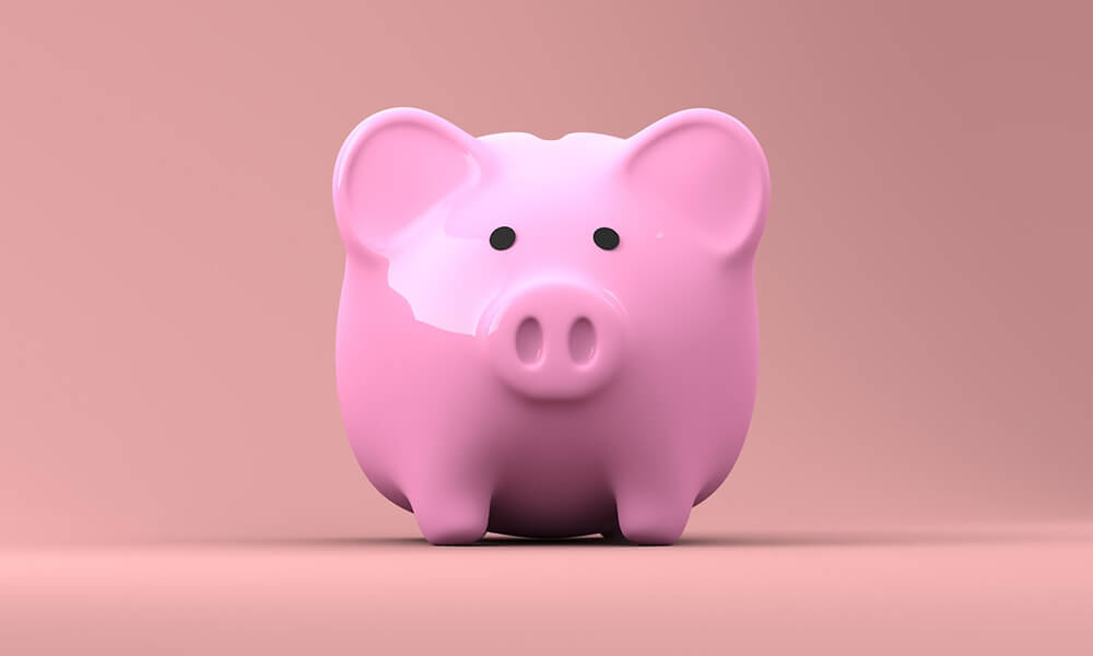 Saving Money for a Goal - Piggy Bank