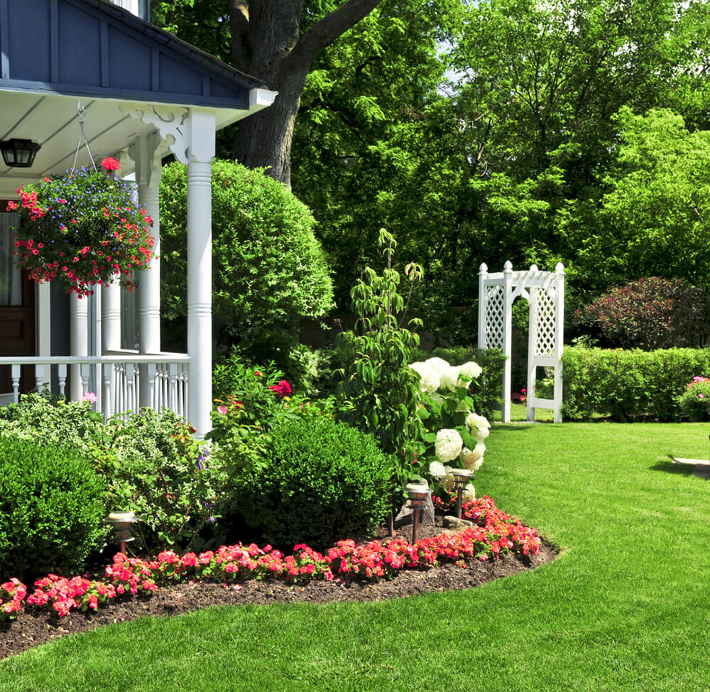 Using a Personal Loan for Garden Renovation